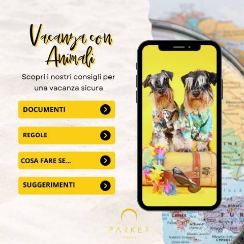 Animali in vacanza info e consigli utili